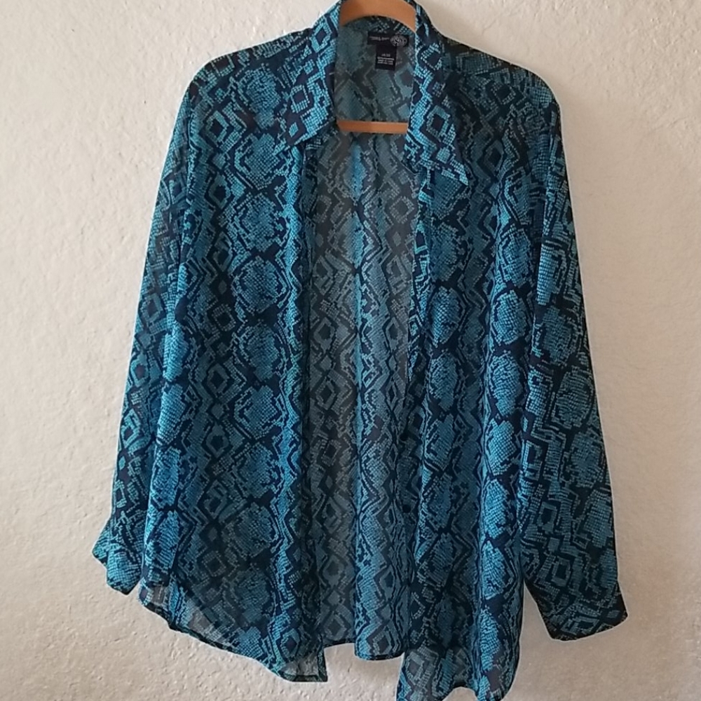 Venezia Jeans sheer blouse